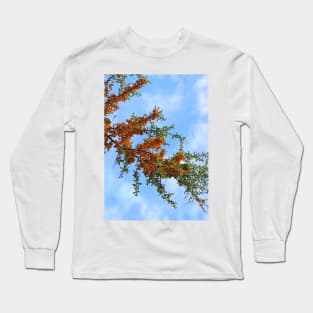 Rowan Tree Branch Long Sleeve T-Shirt